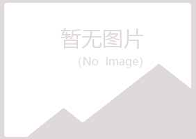 黄山夏青采矿有限公司